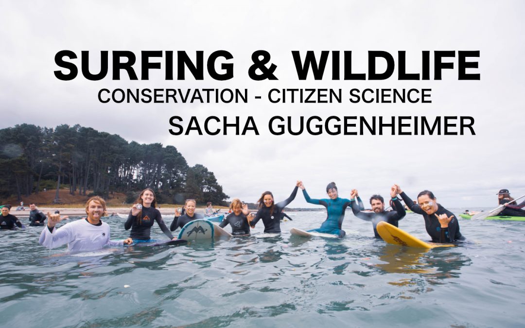Surfing and wildlife: Supporting conservation through citizen science