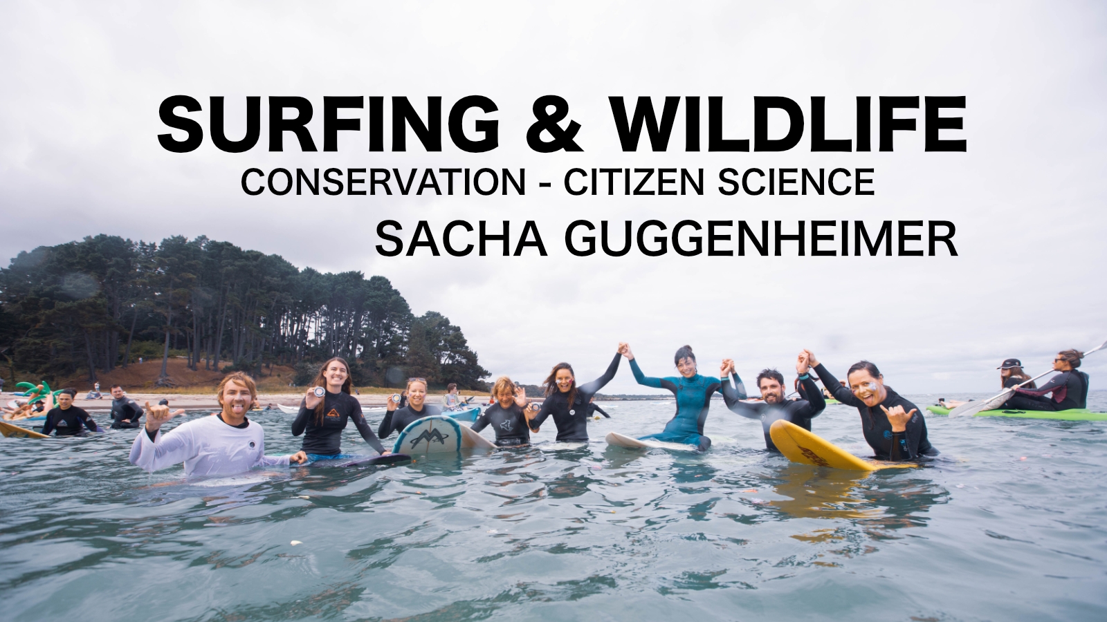 Surfing and wildlife: Supporting conservation through citizen science